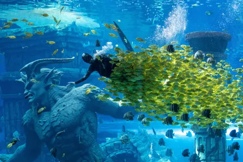 Poseidon Underwater World