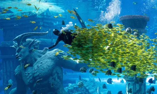 Poseidon Underwater World