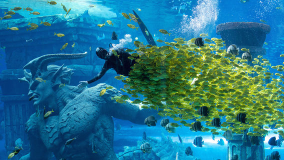 Poseidon Underwater World