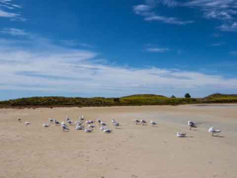 板南線10大最佳頂級飯店排名