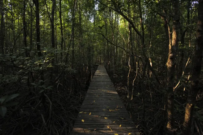 Бутик Отели в г. Сайберджая