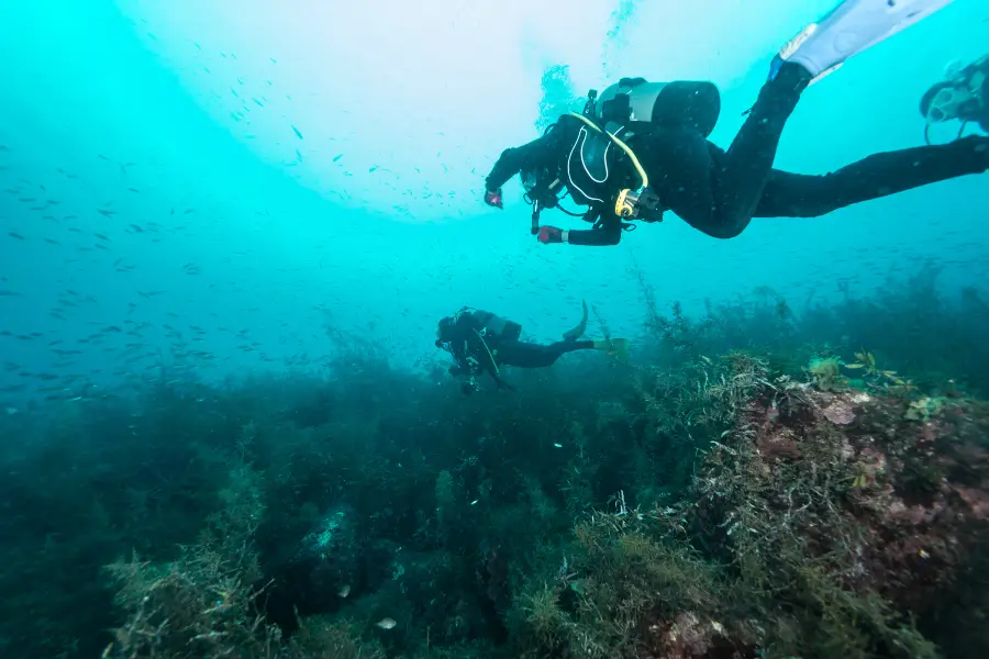 黃金海岸潛水