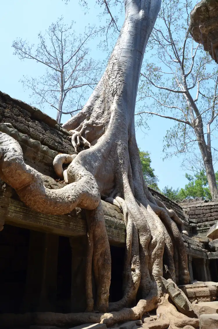 Hotels in Tonle Bati