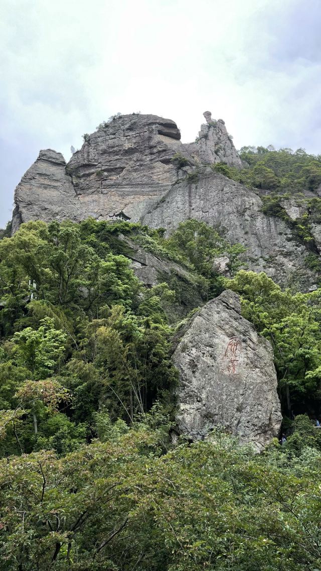 링펑징취