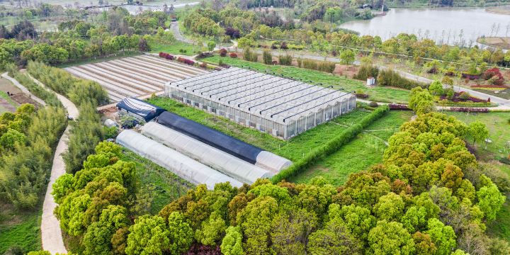 Sanmen Agricultural Expo Park