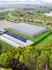 Sanmen Agricultural Expo Park