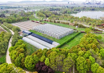 Sanmen Agricultural Expo Park