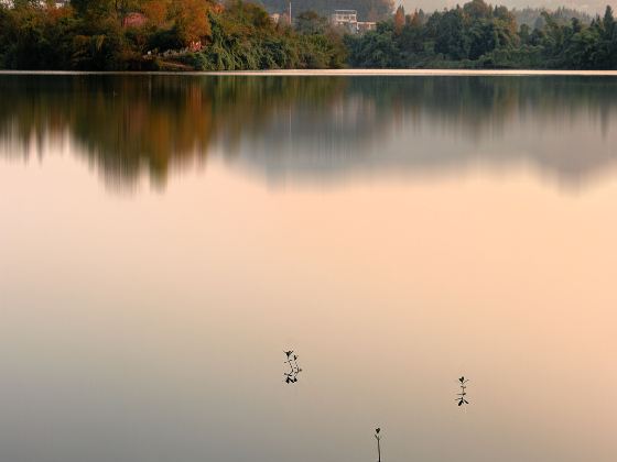 Dashen Nanhai Scenic Area