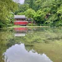 Guizhou - Qianlingshan Park 