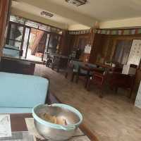 Tibet Guesthouse - last part of TLG 