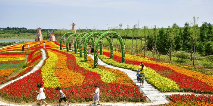Fragrant Valley Town