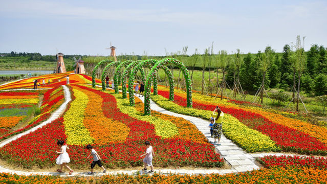 Fragrant Valley Town