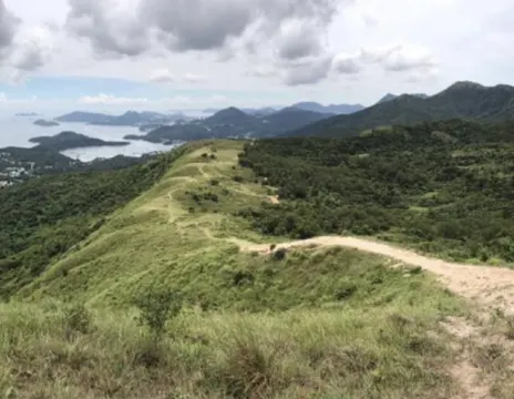 七大馬鞍山好去處:睇昂坪芒草外,必玩獨木舟、滑翔傘、馬鞍山行山