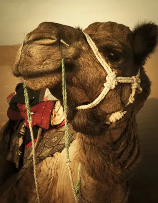 Отели с услугой ванной в г. Аджмер