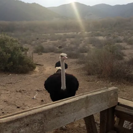 2-звездочные отели в г. Буэллтон