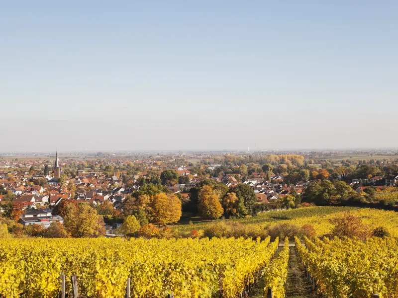 Ludwigshafen am Rhein