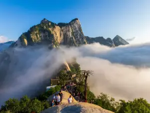 Dành cho gia đình Phổ Biến Tại Hoa Sơn