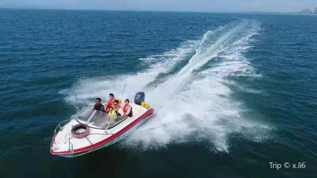 Dongpu Bay Sea Carnival