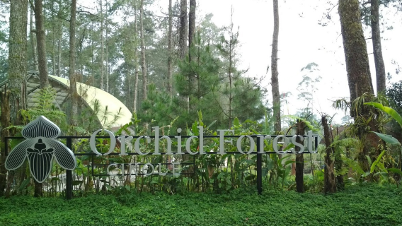 Orchid Forest Cikole