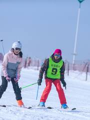 聊城南湖公園滑雪場