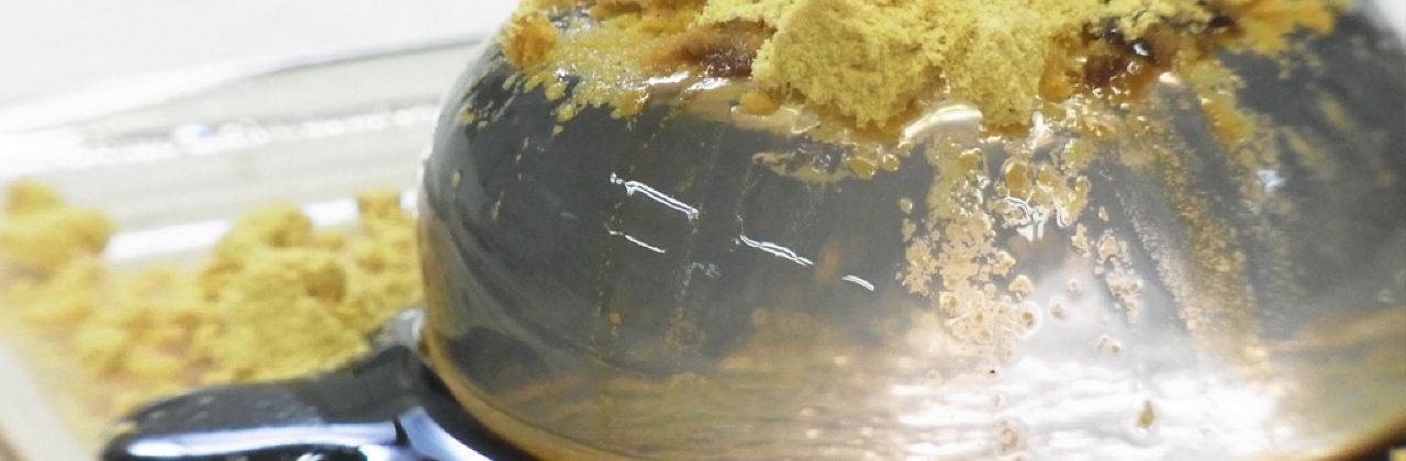 kinseiken daigaharaten