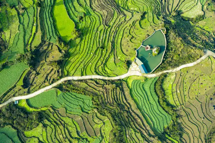Các khách sạn ở Dư Khánh