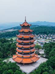 鐵山坪森林公園