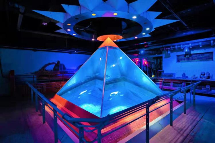 Sun Asia Ocean World And Polar World