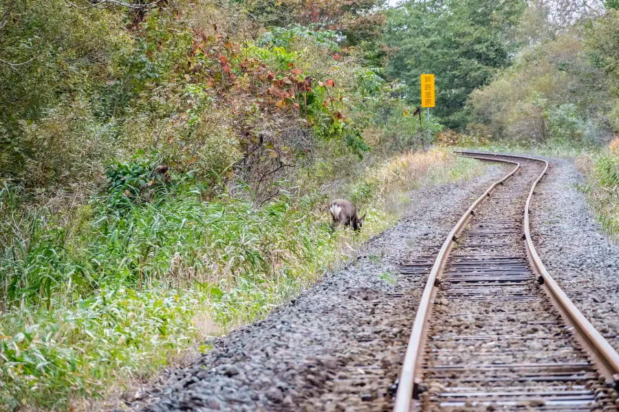 Kushiro Shitsugen Norokko Train