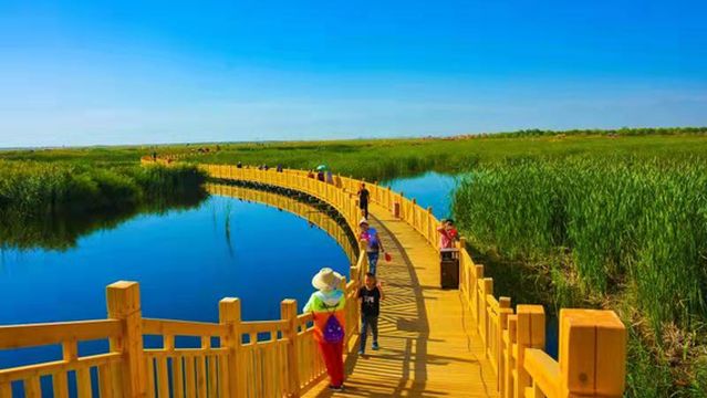 Jiuquan Liufen Wetland National Wetland Park