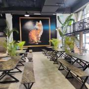 Культурные учреждения