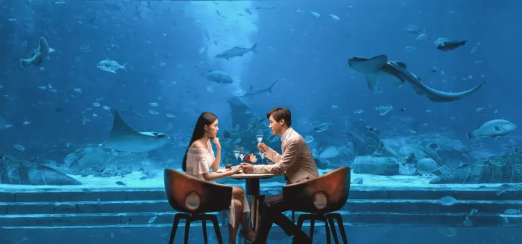 亞特蘭蒂斯·OSSIANO UNDERWATER RESTAURANT & BAR奧西亞諾海底餐廳