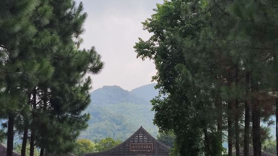 森林公园和天童禅寺是同一个大门进入的，试营业免费中。自然环境