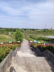 Qianweizhihui National Wetland Park