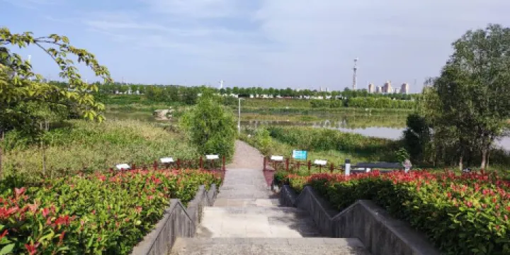 陝西千渭之會國家濕地公園