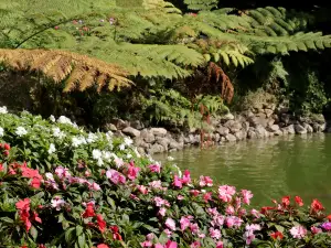 Mae Fah Luang Garden