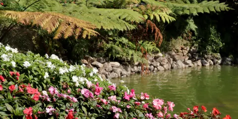 Mae Fah Luang Garden