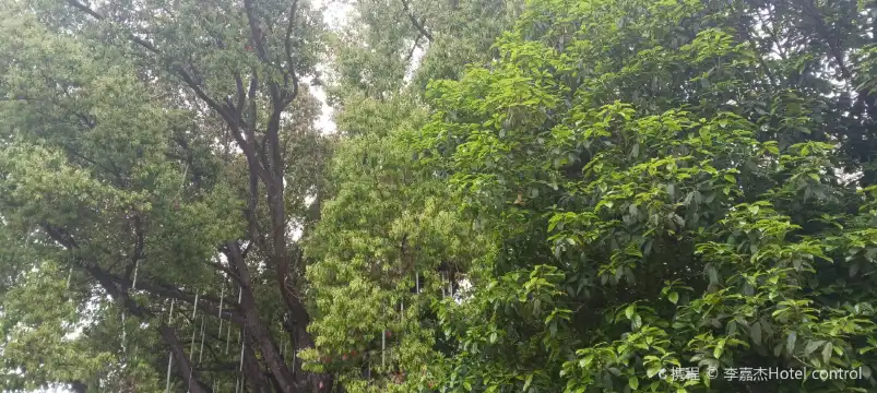 Hotels near wen xi gu rong qun