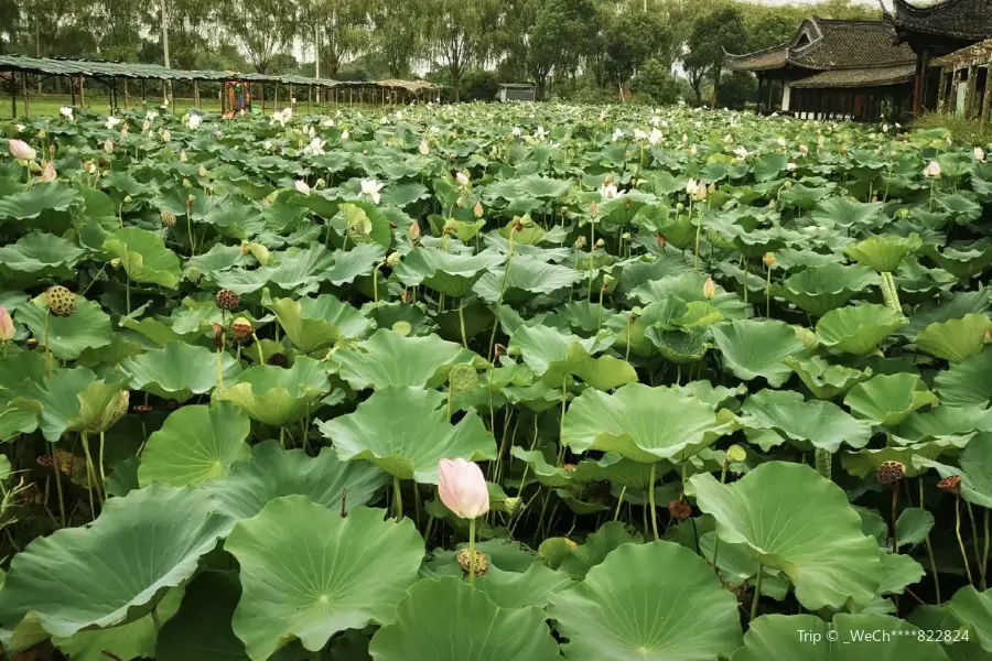 呂山荷博園