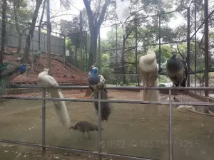 Hengyang Zoo