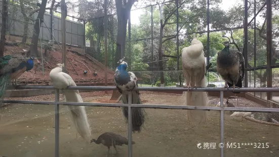 衡陽動物園