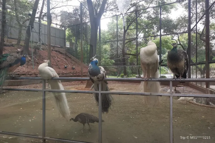 Зоопарк Хэньян