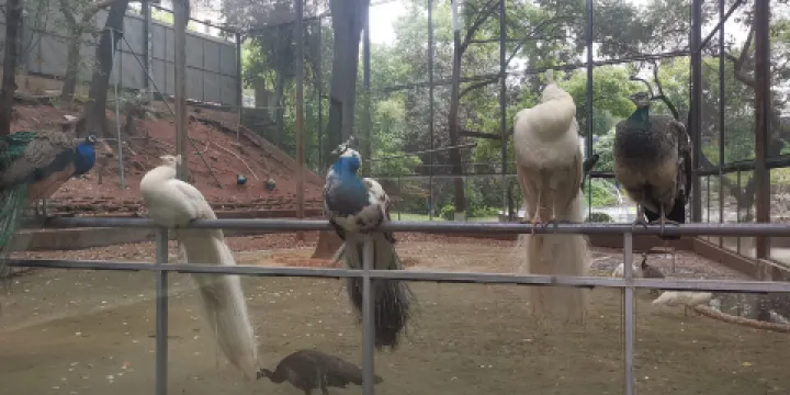 衡陽動物園