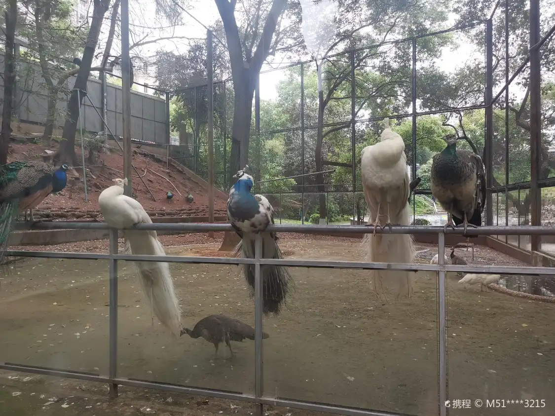 헝양 동물원 주변 호텔