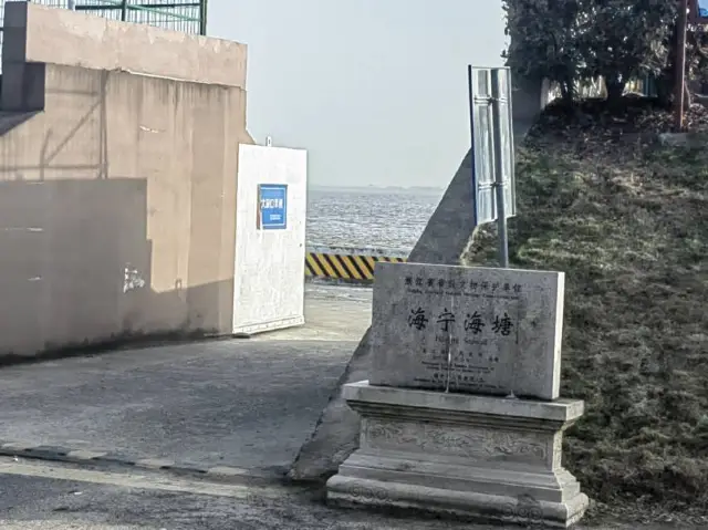 Jiaxing Tide Viewing