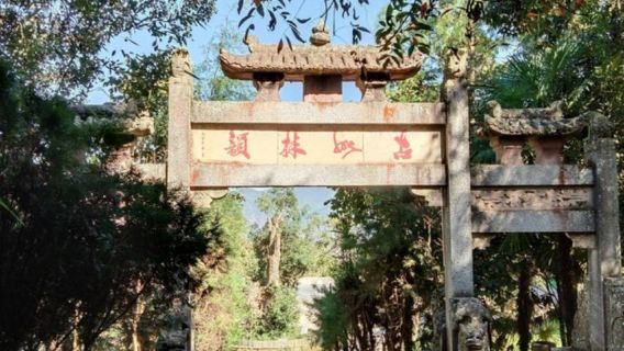Xinhua Ancient Forest Park