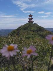 Fangshan Forest Park