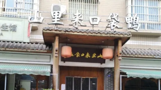 山裡來口袋鴨(西外店)