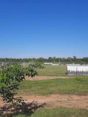 Parque Guasu Metropolitano