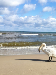 Plaża w Dziwnówku